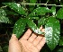  ( - BioBot10047)  @11 [ ] Copyright (2010) Unspecified Unspecified