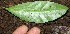  ( - BioBot10047)  @11 [ ] Copyright (2010) Unspecified Unspecified