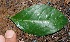  ( - BioBot10048)  @11 [ ] Copyright (2010) Unspecified Unspecified