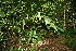  ( - BioBot10050)  @11 [ ] Copyright (2010) Unspecified Unspecified