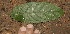  ( - BioBot10050)  @11 [ ] Copyright (2010) Unspecified Unspecified