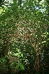  ( - BioBot10059)  @11 [ ] Copyright (2010) Unspecified Unspecified