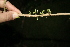  ( - BioBot10059)  @11 [ ] Copyright (2010) Unspecified Unspecified