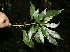  ( - BioBot10059)  @11 [ ] Copyright (2010) Unspecified Unspecified