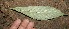  ( - BioBot10059)  @11 [ ] Copyright (2010) Unspecified Unspecified