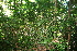  ( - BioBot10060)  @11 [ ] Copyright (2010) Unspecified Unspecified