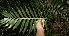  ( - BioBot10060)  @11 [ ] Copyright (2010) Unspecified Unspecified