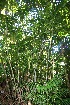  ( - BioBot10061)  @11 [ ] Copyright (2010) Unspecified Unspecified
