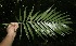  ( - BioBot10061)  @11 [ ] Copyright (2010) Unspecified Unspecified