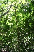  ( - BioBot10062)  @11 [ ] Copyright (2010) Unspecified Unspecified