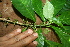  ( - BioBot10062)  @11 [ ] Copyright (2010) Unspecified Unspecified