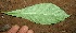  ( - BioBot10062)  @11 [ ] Copyright (2010) Unspecified Unspecified