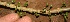  ( - BioBot10062)  @11 [ ] Copyright (2010) Unspecified Unspecified