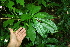  ( - BioBot10063)  @11 [ ] Copyright (2010) Unspecified Unspecified