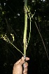  ( - BioBot10064)  @11 [ ] Copyright (2010) Unspecified Unspecified