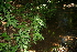  ( - BioBot10066)  @11 [ ] Copyright (2010) Unspecified Unspecified