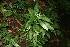  ( - BioBot10066)  @11 [ ] Copyright (2010) Unspecified Unspecified