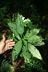  ( - BioBot10066)  @11 [ ] Copyright (2010) Unspecified Unspecified