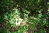  ( - BioBot10067)  @11 [ ] Copyright (2010) Unspecified Unspecified