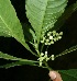  ( - BioBot10067)  @11 [ ] Copyright (2010) Unspecified Unspecified