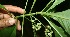  ( - BioBot10067)  @11 [ ] Copyright (2010) Unspecified Unspecified