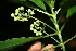  ( - BioBot10067)  @11 [ ] Copyright (2010) Unspecified Unspecified