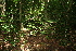  ( - BioBot10077)  @11 [ ] CreativeCommons - Attribution Non-Commercial Share-Alike (2010) Daniel H. Janzen Guanacaste Dry Forest Conservation Fund