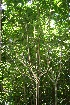  ( - BioBot10086)  @11 [ ] Copyright (2010) Unspecified Unspecified
