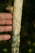  ( - BioBot10086)  @11 [ ] Copyright (2010) Unspecified Unspecified