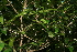  ( - BioBot10087)  @11 [ ] Copyright (2010) Unspecified Unspecified
