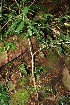  ( - BioBot10088)  @11 [ ] Copyright (2010) Unspecified Unspecified