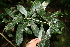  ( - BioBot10088)  @11 [ ] Copyright (2010) Unspecified Unspecified
