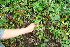  ( - BioBot10108)  @11 [ ] Copyright (2010) Unspecified Unspecified