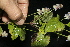  ( - BioBot10108)  @11 [ ] Copyright (2010) Unspecified Unspecified