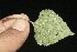  ( - BioBot10108)  @11 [ ] Copyright (2010) Unspecified Unspecified