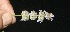  ( - BioBot10108)  @11 [ ] Copyright (2010) Unspecified Unspecified