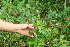  ( - BioBot10109)  @11 [ ] Copyright (2010) Unspecified Unspecified