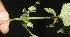  ( - BioBot10109)  @11 [ ] Copyright (2010) Unspecified Unspecified