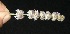  ( - BioBot10109)  @11 [ ] Copyright (2010) Unspecified Unspecified