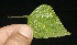  ( - BioBot10109)  @11 [ ] Copyright (2010) Unspecified Unspecified