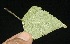  ( - BioBot10109)  @11 [ ] Copyright (2010) Unspecified Unspecified