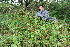  ( - BioBot10113)  @11 [ ] Copyright (2010) Unspecified Unspecified