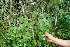  ( - BioBot10113)  @11 [ ] Copyright (2010) Unspecified Unspecified