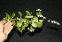  ( - BioBot10113)  @11 [ ] Copyright (2010) Unspecified Unspecified