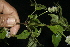  ( - BioBot10113)  @11 [ ] Copyright (2010) Unspecified Unspecified