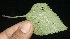  ( - BioBot10113)  @11 [ ] Copyright (2010) Unspecified Unspecified
