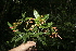  ( - BioBot10132)  @11 [ ] Copyright (2010) Unspecified Unspecified