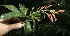  ( - BioBot10132)  @11 [ ] Copyright (2010) Unspecified Unspecified