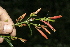  ( - BioBot10132)  @11 [ ] Copyright (2010) Unspecified Unspecified