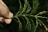  ( - BioBot10132)  @11 [ ] Copyright (2010) Unspecified Unspecified